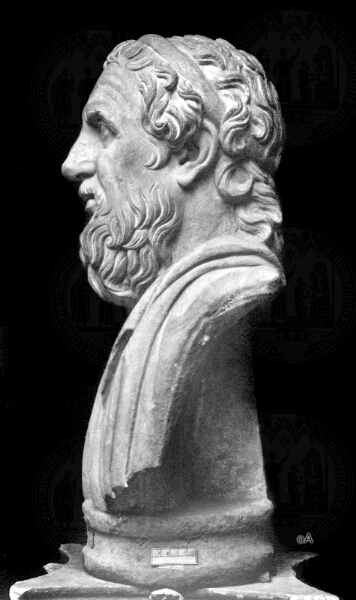 Homer - bust